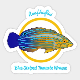 Blue Striped Tamarin Wrasse Sticker